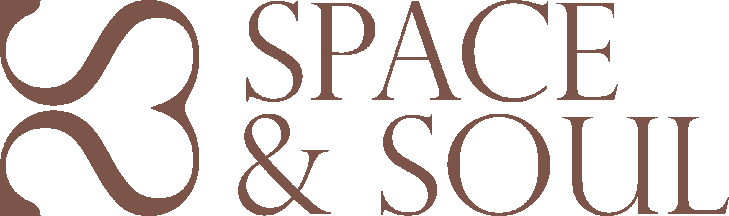 Space & Soul Wellness Studio